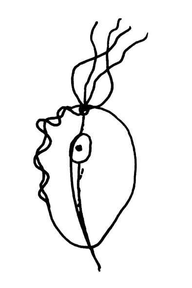 Trichomonas vaginalis