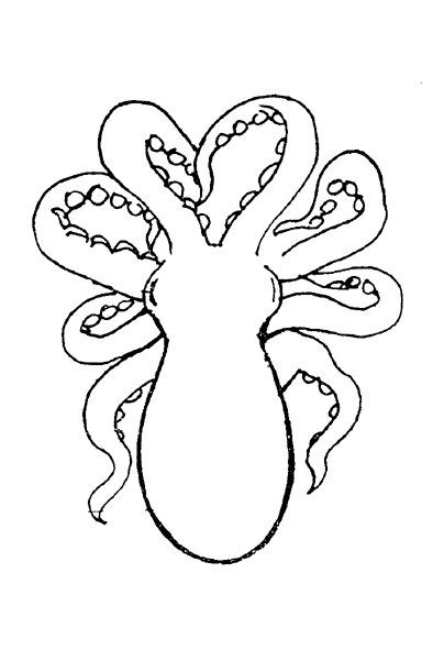 chobotnice