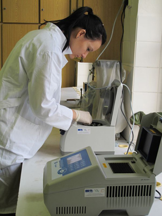 molekulární biologie