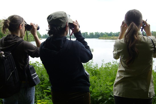 birdwatching